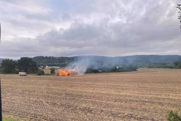 B2 BMA_236064946_4708039009272292_3816407624605636033_n.jpg