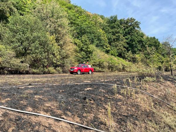 Feuerwehr im Dauereinsatz_FF3.jpg