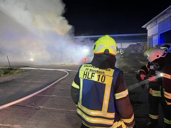 B3 VEGETATIONGROSS_Lehesten3.jpg