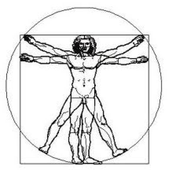 Physiotherapien